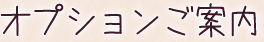 オプション案内