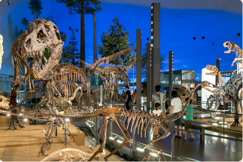 福井県立恐竜博物館