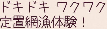 ドキドキ ワクワク 定置網漁体験